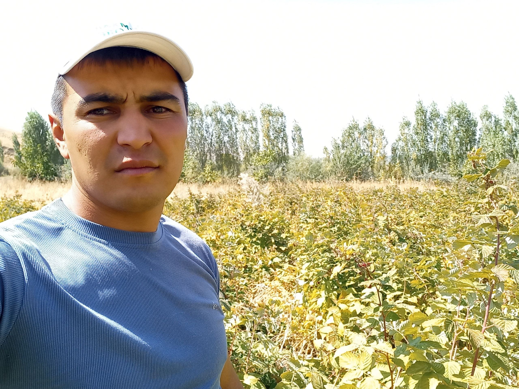 Malina yetishtirish bo'yicha agronom xizmati