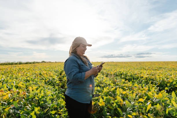 O'simliklarni himoya qilish xizmatlari