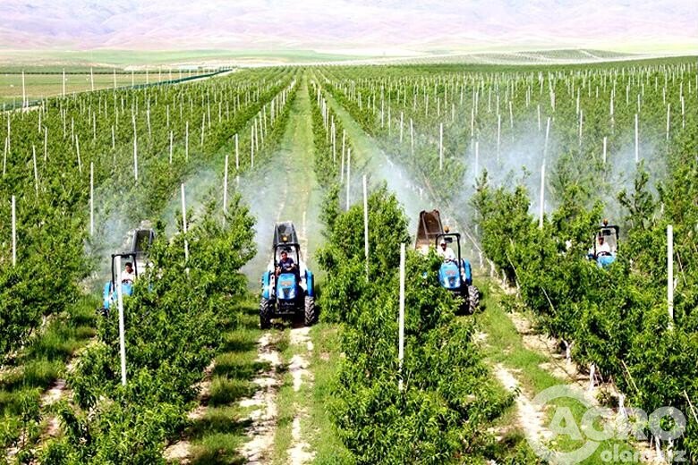 Тракторда дори сепиш