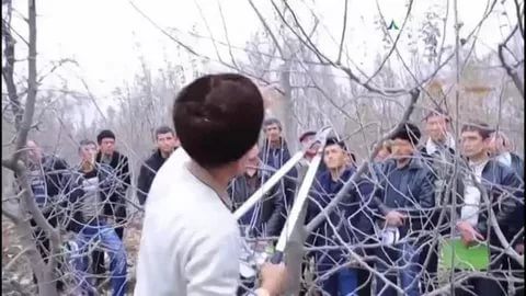 мевали кўчатларга шакл бериш ва буташ