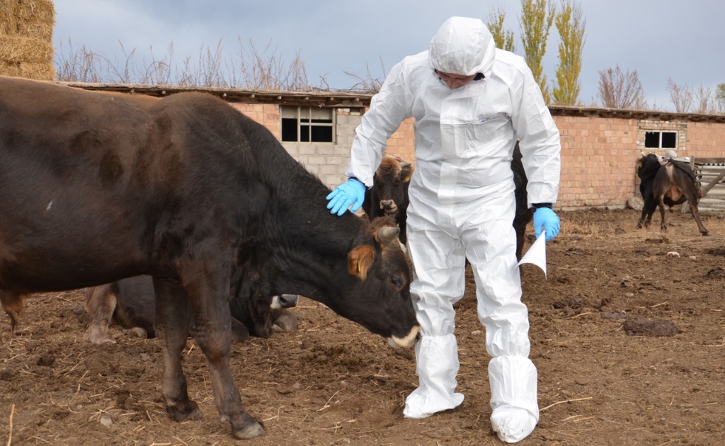 Ветеринария хизмати