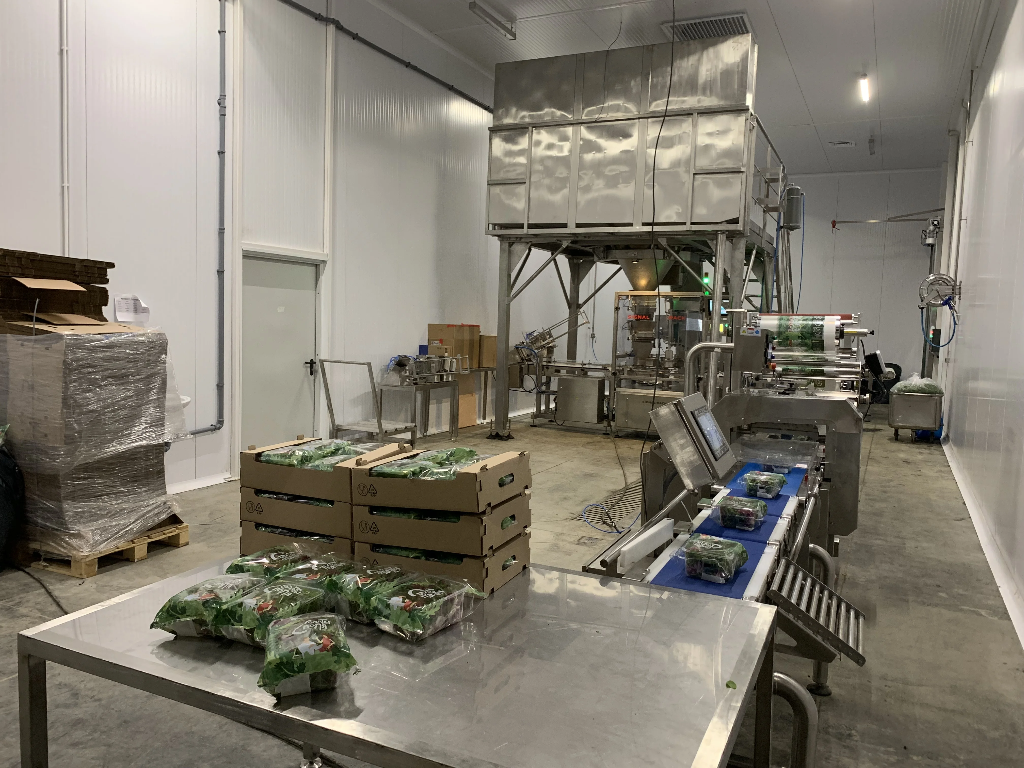 Корекс идишларга қадоқлаш