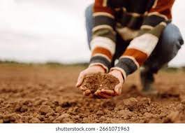 Агрономи хизмати.